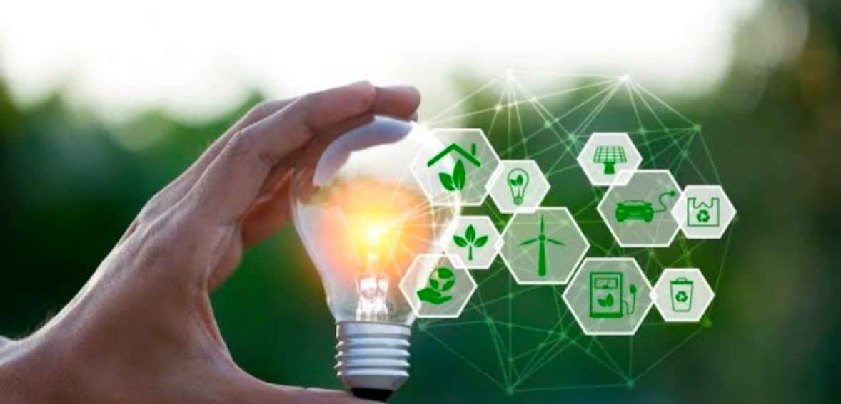 Ways to increase organic growth for business