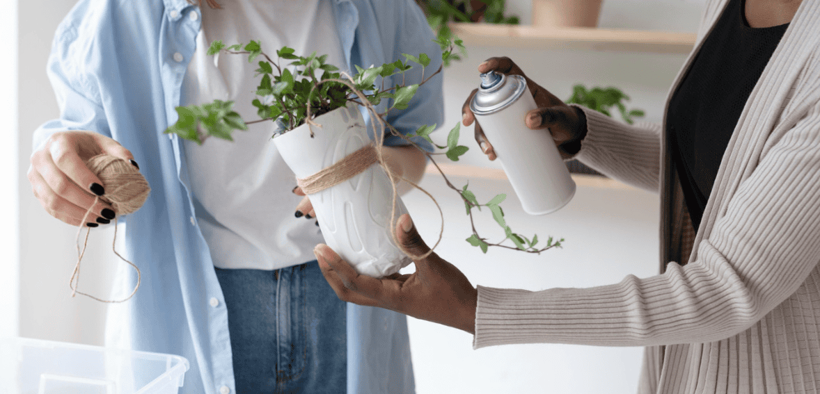Sustainable Product Design: Eco-Friendly Innovation in Startups